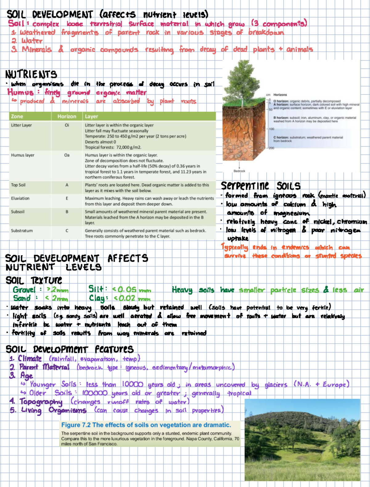 Soil Development and Nutrient Availability: A Study (SOIL 101) - Studocu