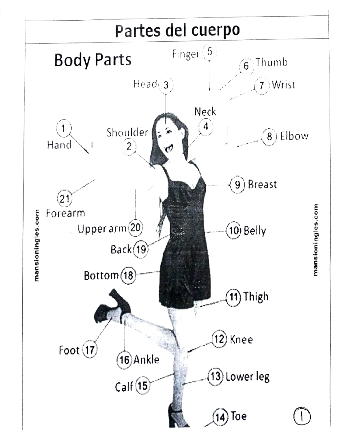Vocabulary: Body Parts & Common Places - kui - Studocu