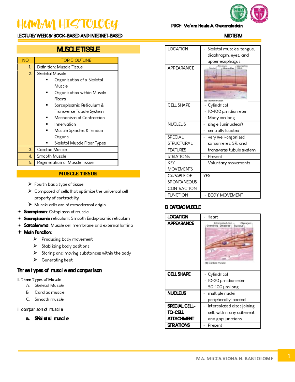 Muscle Tissue Overview - Midterm Review - Human Histology (HIST101 ...
