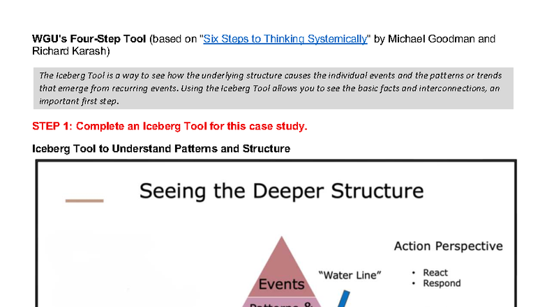 Introduction to Systems Thinking: Case Study Analysis - D459 - Studocu