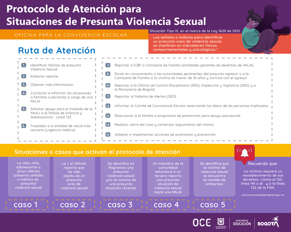 Protocolo de Atención para Situaciones de Violencia Sexual - Ley 1620 ...