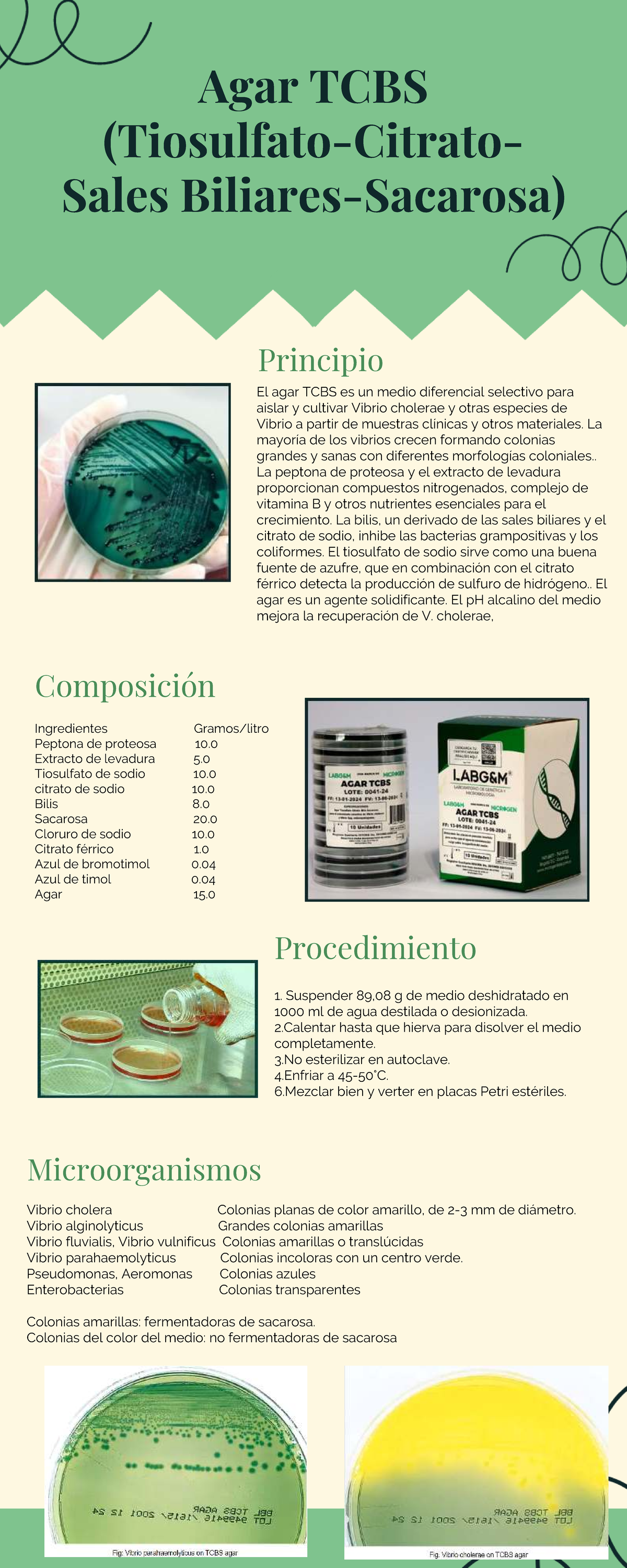 Infografía sobre el Agar TCBS para Aislamiento de Vibrio spp. - Studocu