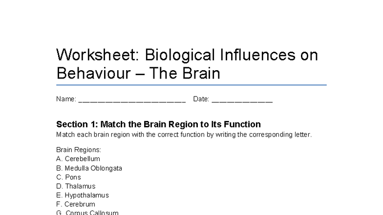 Worksheet: Biological Influences on Behavior (The Brain) - Studocu