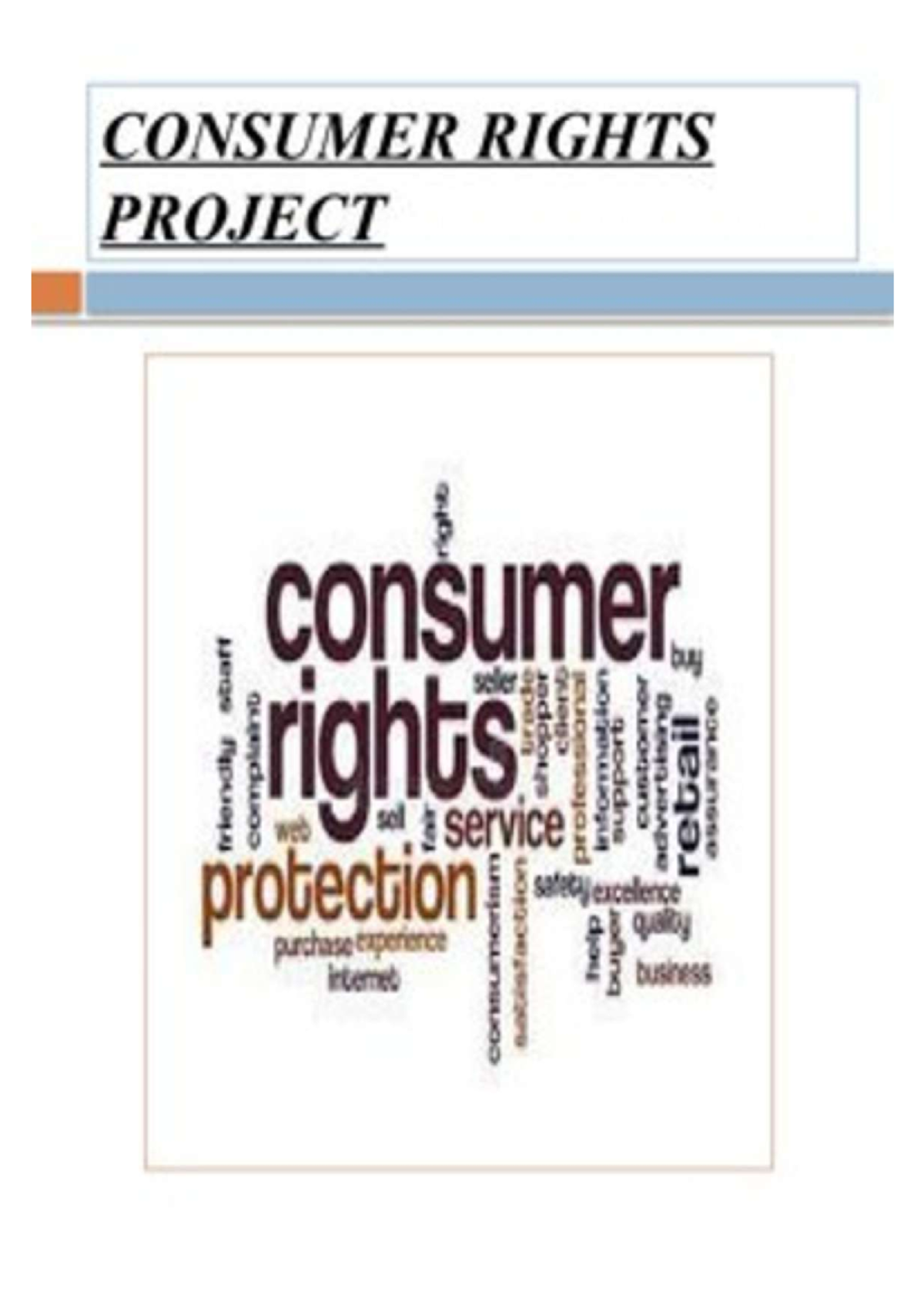 Consumer Rights Project - Class 10 A Social Science - Studocu