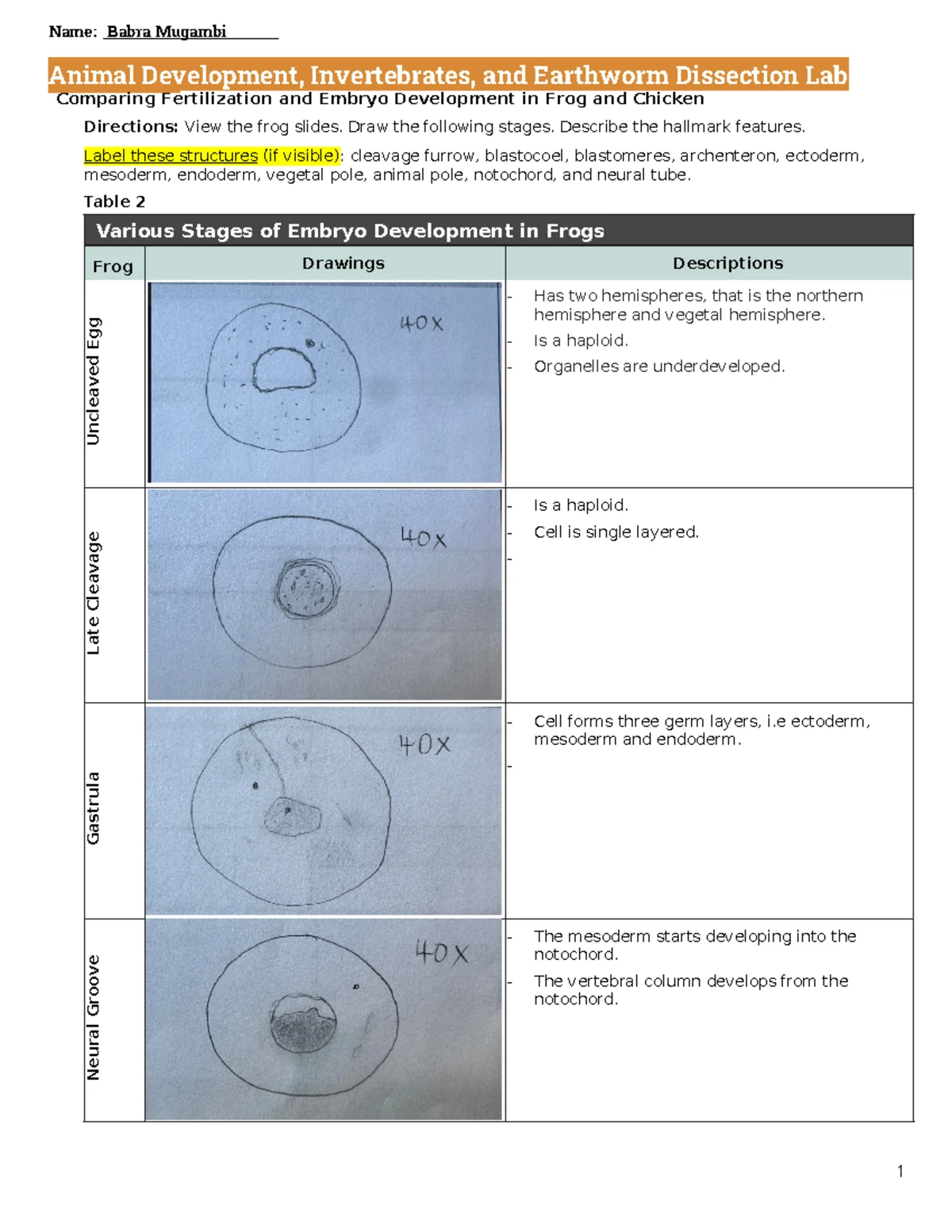 BIO 101: Potometer Lab Report on Transpiration Rates in Plants - Studocu