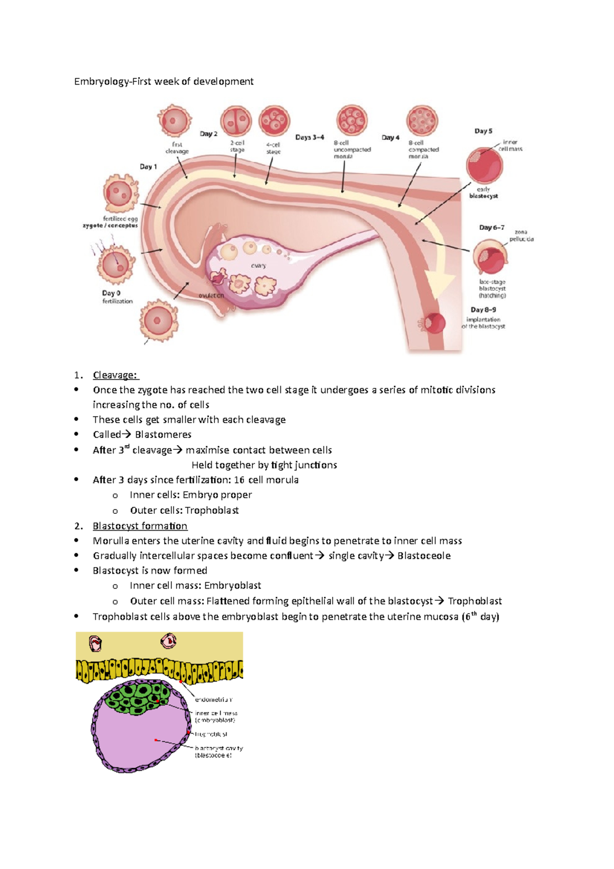 Lecture Notes On Embryology And Biological Development - Embryology ...