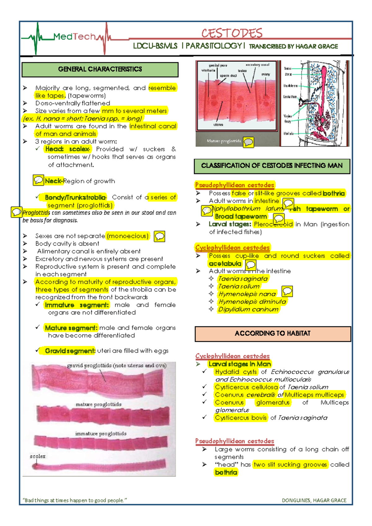 LDCU-BSMLS Para Lec Cestodes: Comprehensive Study Notes - Studocu