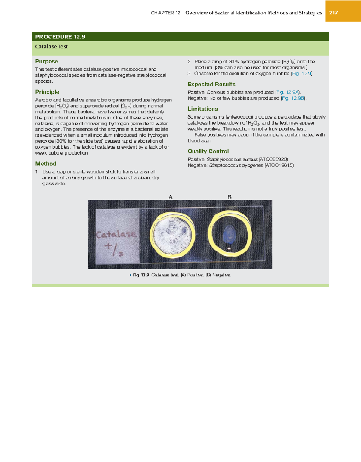Biochemical Tests for Bacterial Identification in Microbiology (BIO 101 ...