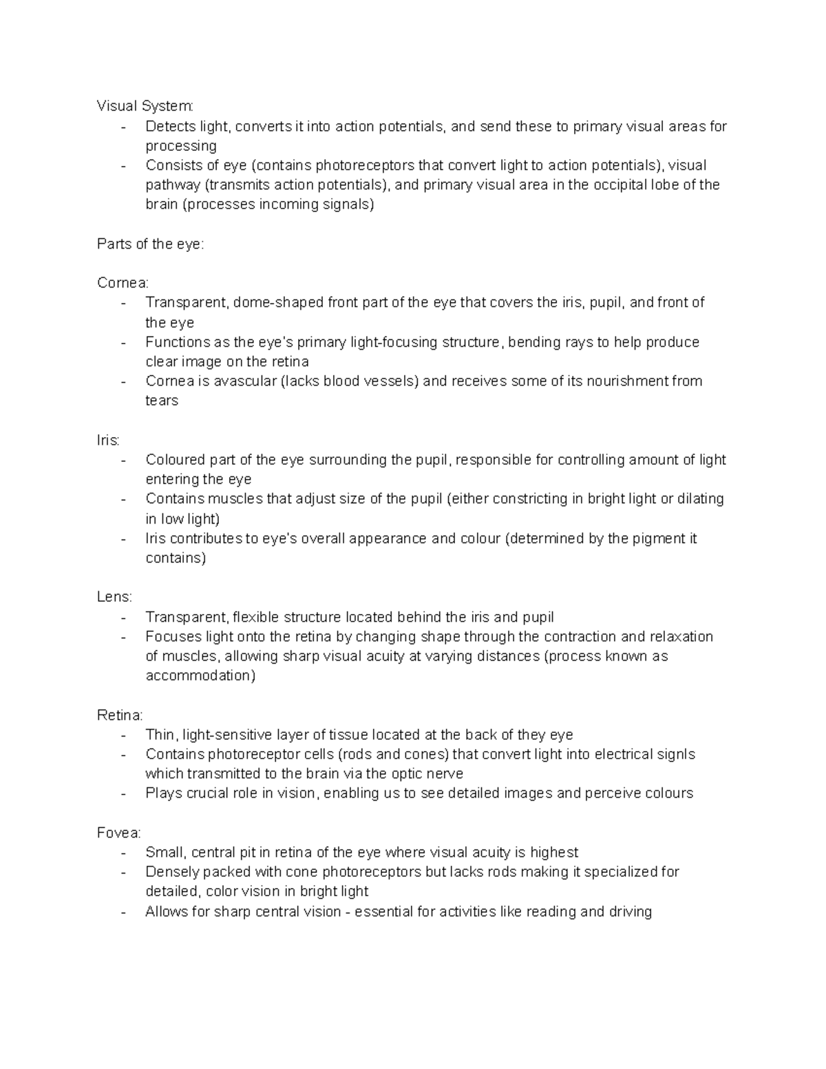 Human Phys 6 - Visual System and Auditory Processing Notes - Studocu