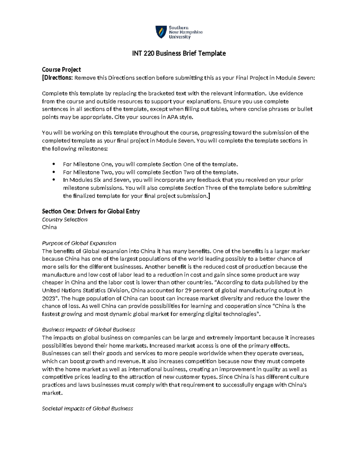 INT 220 Final Project: Business Brief Template on Global Expansion in ...