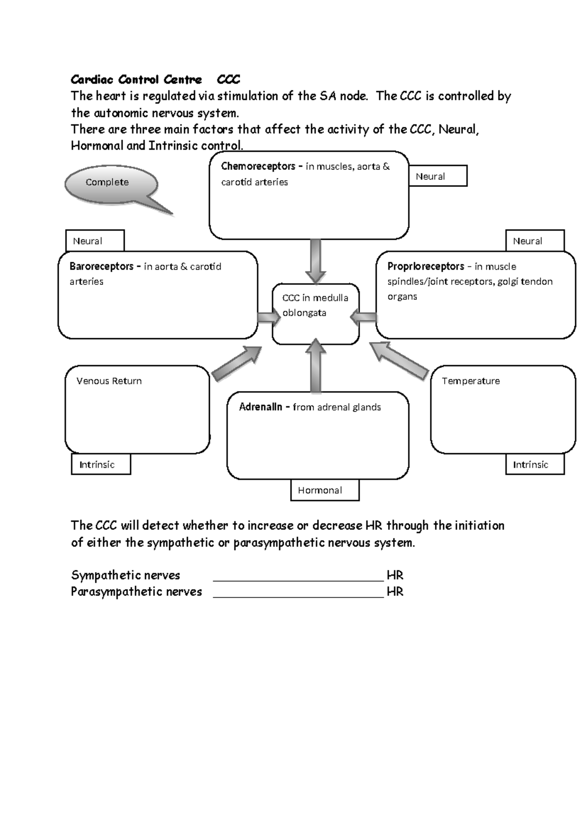 Cardiac Control Centre CCC - The CCC is controlled by the autonomic ...