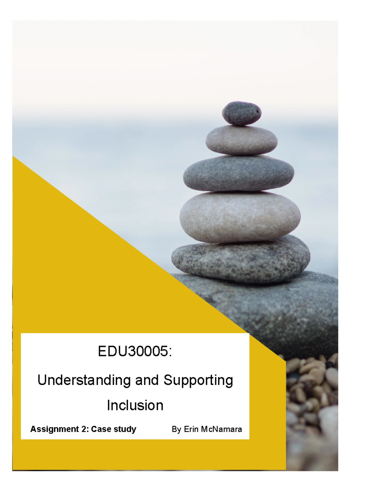 EDU30005 Understanding and Supporting Inclusion: Reflective Essay 1 ...
