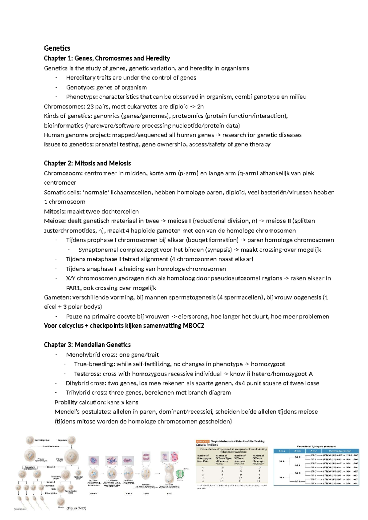 Genetics Lectures: College Notes (Genetics 101) - Studeersnel