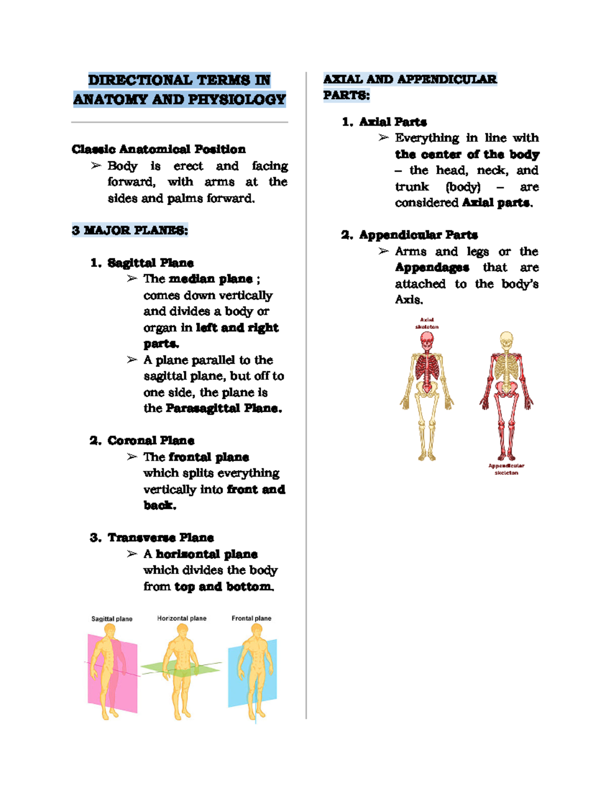Anatomical Directional Terms: Understanding Key Positions & Planes ...