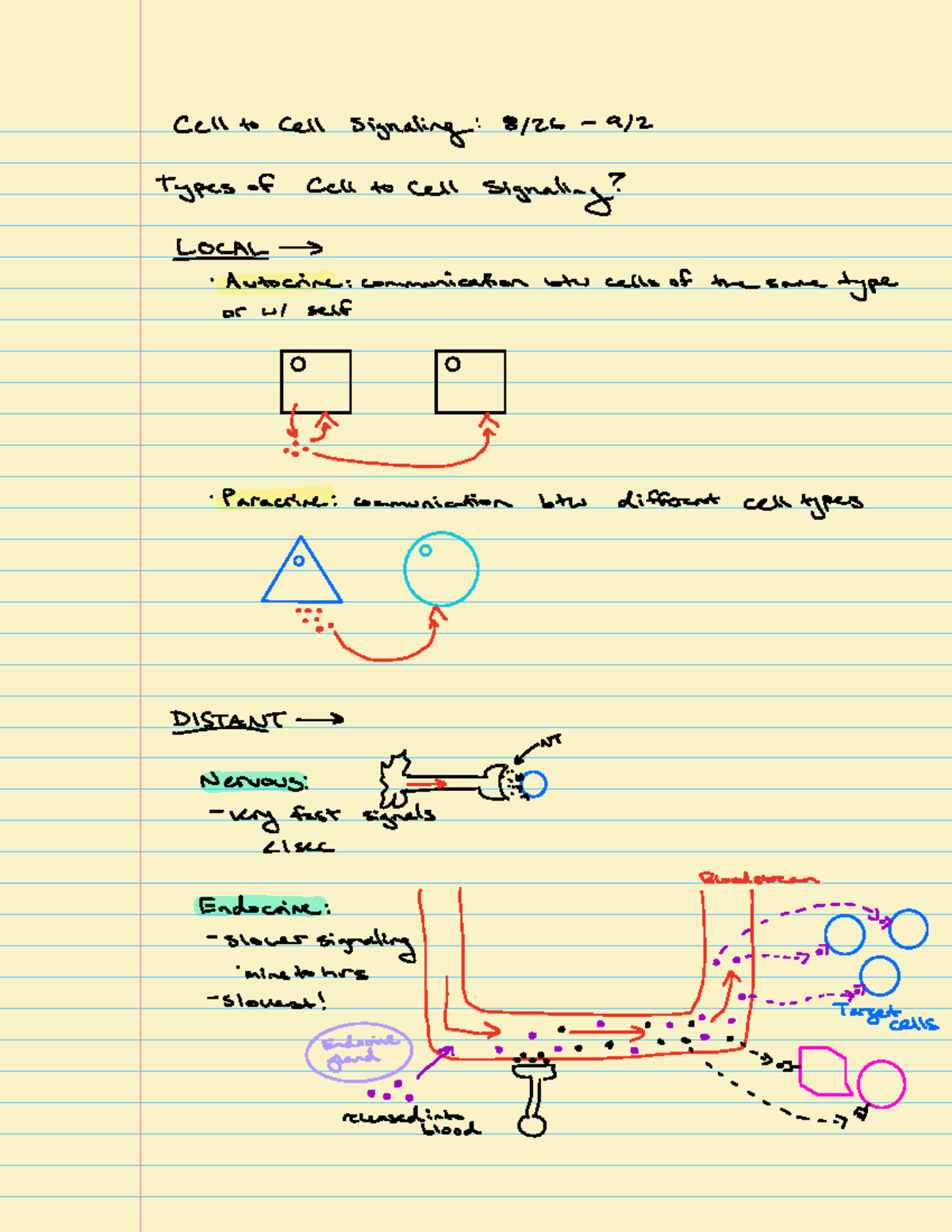 Cell Signaling Mechanisms: Hormonal & Neuroendocrine Comm. (BIO 912 ...