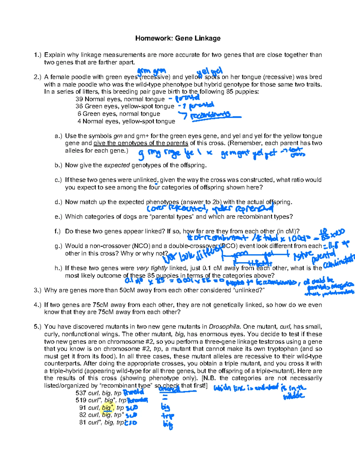 Lab 13 Genetics worksheet - Click and Learn Using DNA to Trace Human ...