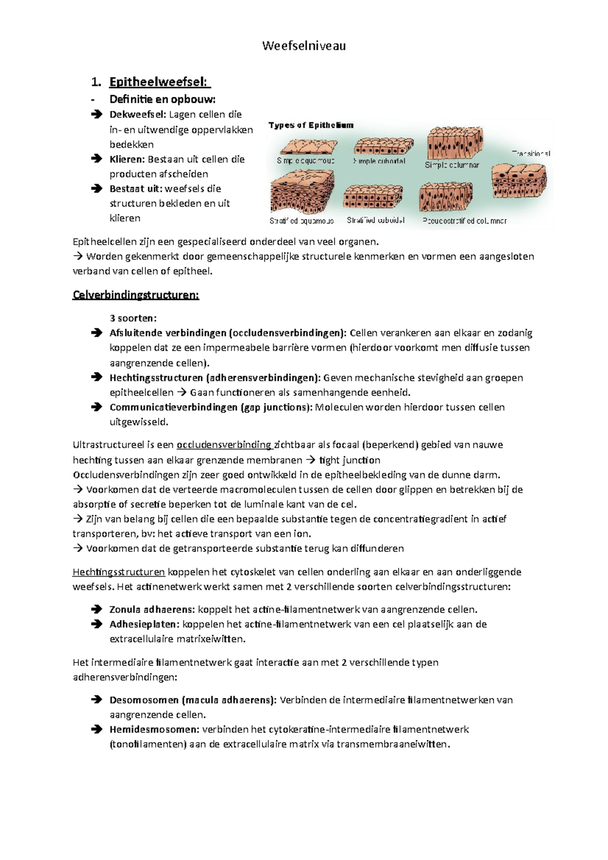 Epitheelweefsel - College-aantekeningen 1 - Weefselniveau 1 ...