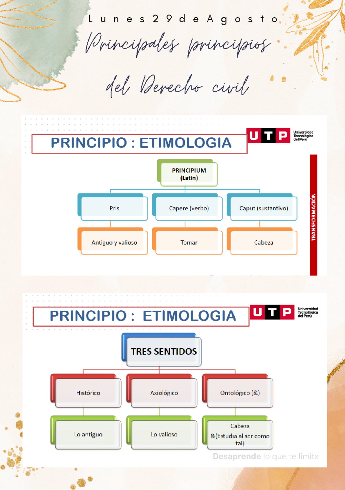 Semana 3 - Principales principios del Derecho civil APLICACIÓN DE LA ...