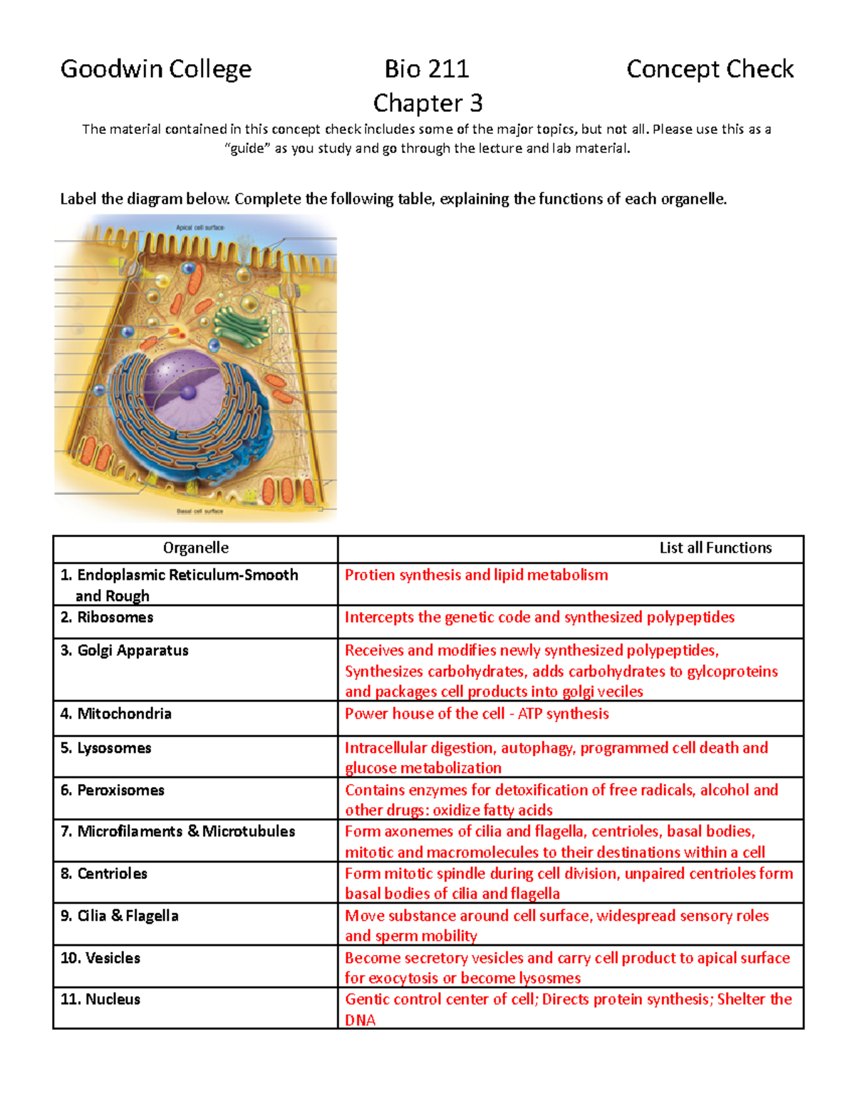 Chapter 3 Concept Check: Key Topics in BIO 211 - Studocu