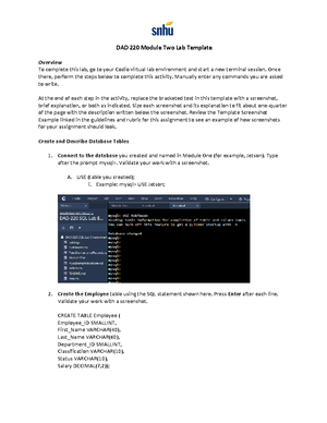 IT 260 Module Six Activity Test Case - IT 260 Module Six Activity Test ...