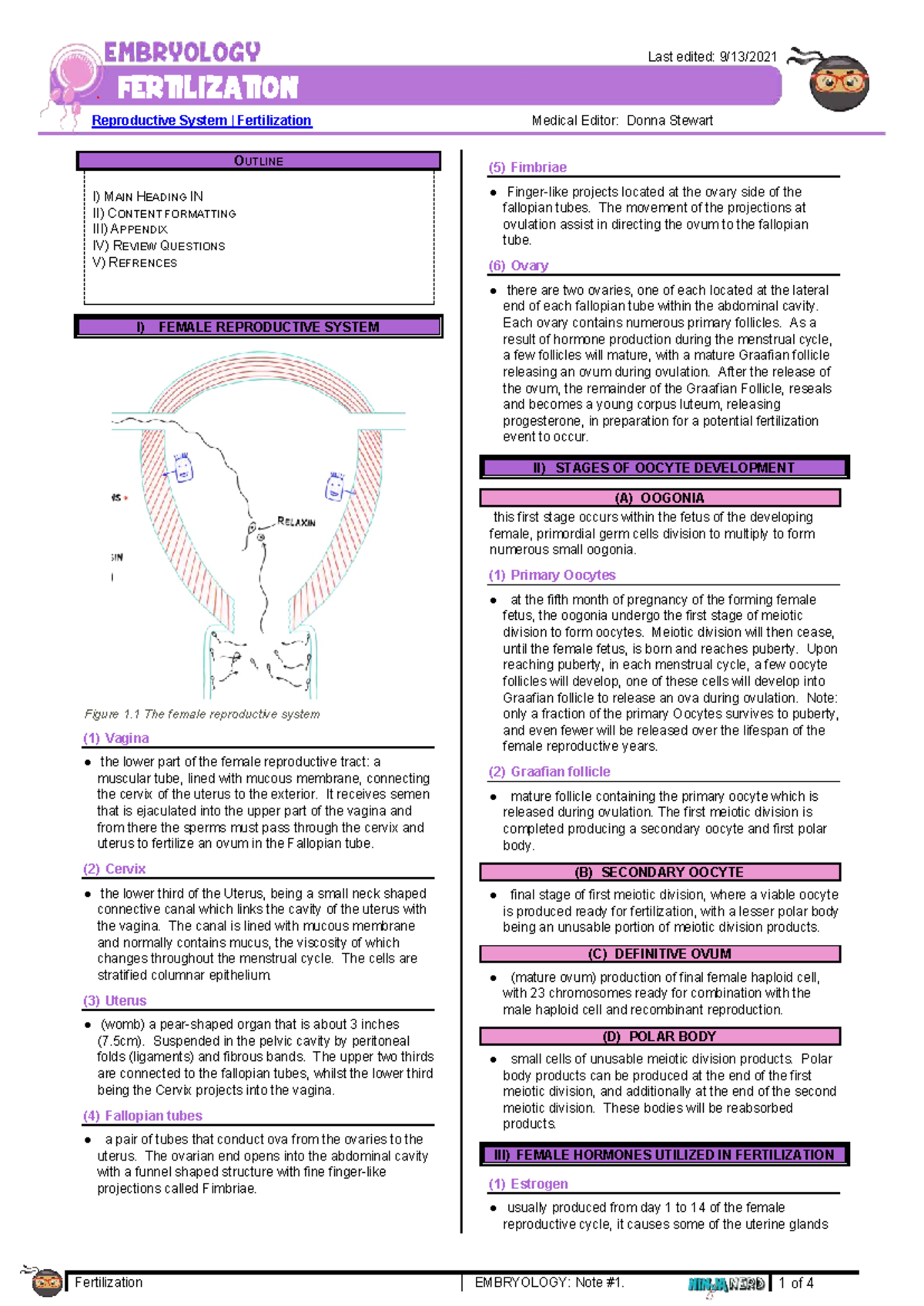 259 Embryology: Reproductive System Fertilization Overview - Studocu