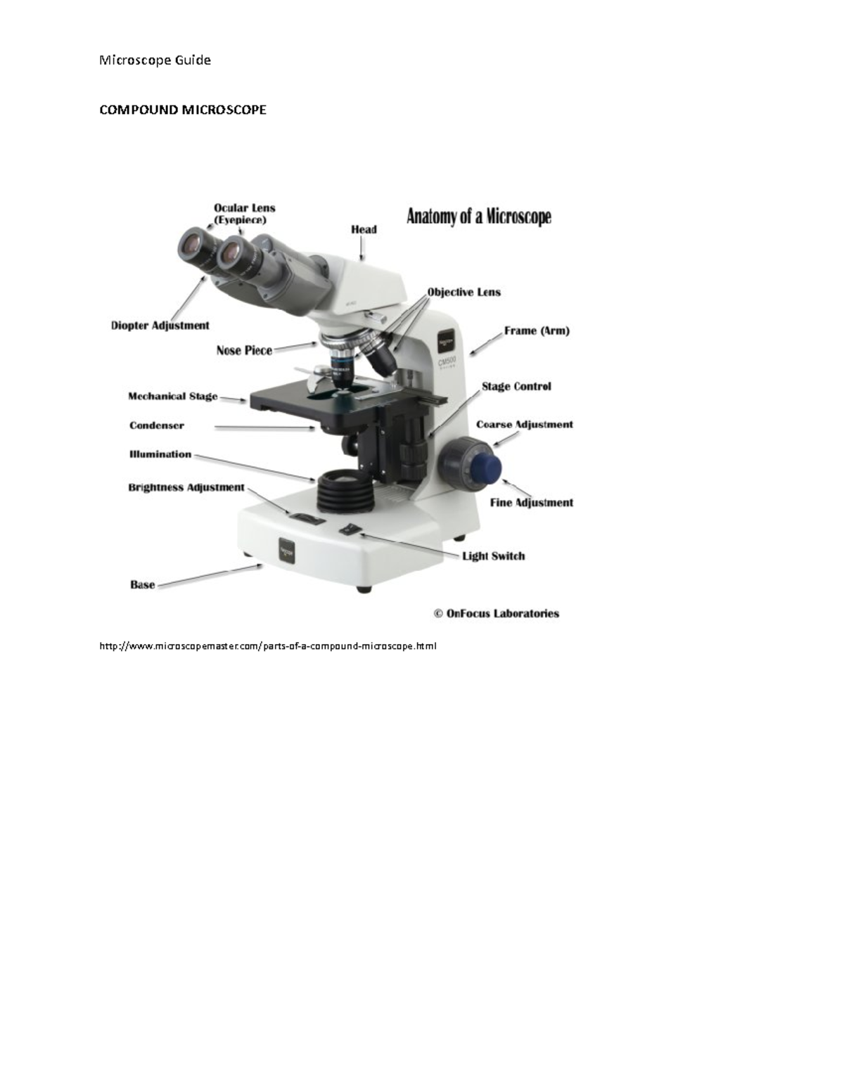 Microscope Guide - CHEM 2410 - COMPOUND MICROSCOPE - Studocu