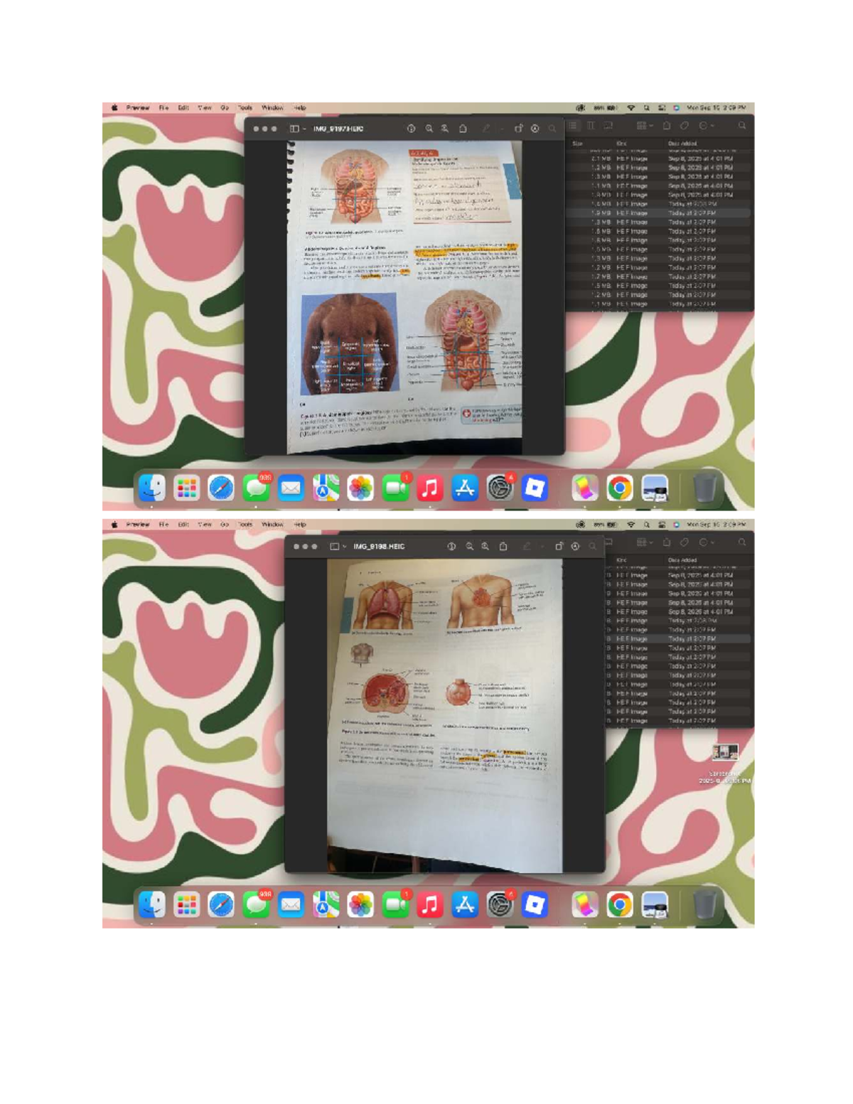 Lab Exam Study Guide: Anatomy (Course Code: ANAT 101) - Studocu