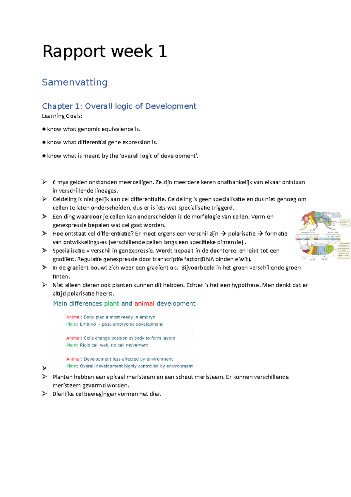 Rapport Week 1: Overzicht van Genexpressie en Ontwikkeling - Studeersnel