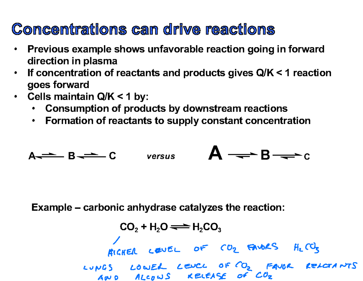 Coupled reactions and carbohydrates - versus Previous example shows ...