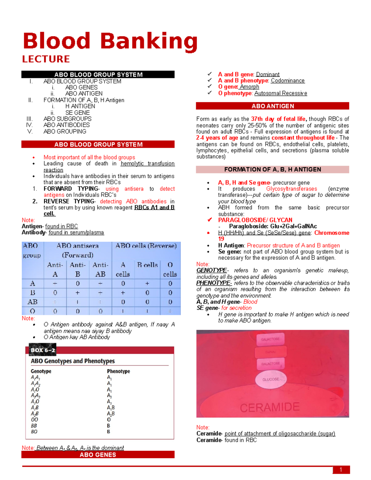 BB Midterm Notes on ABO Blood Group System - Studocu
