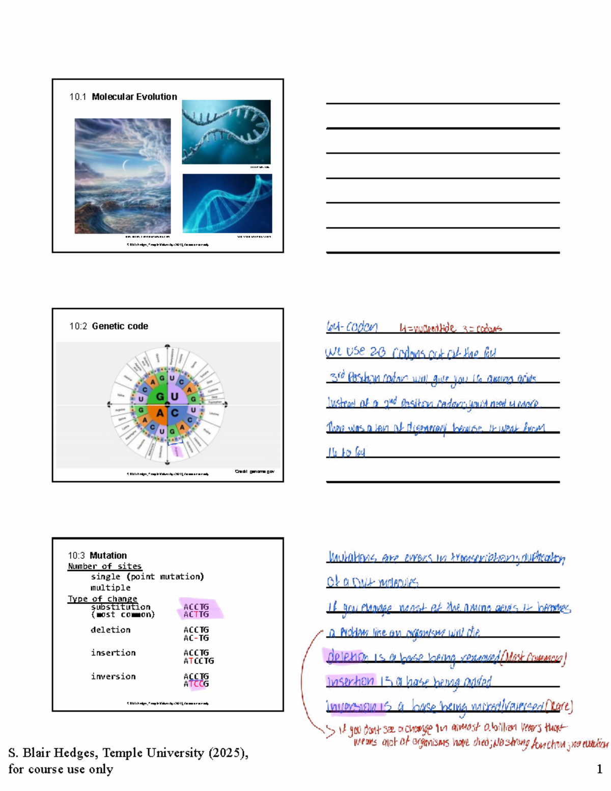 Molecular Evolution & Mutation Mechanisms (BIOL 2025) - Studocu