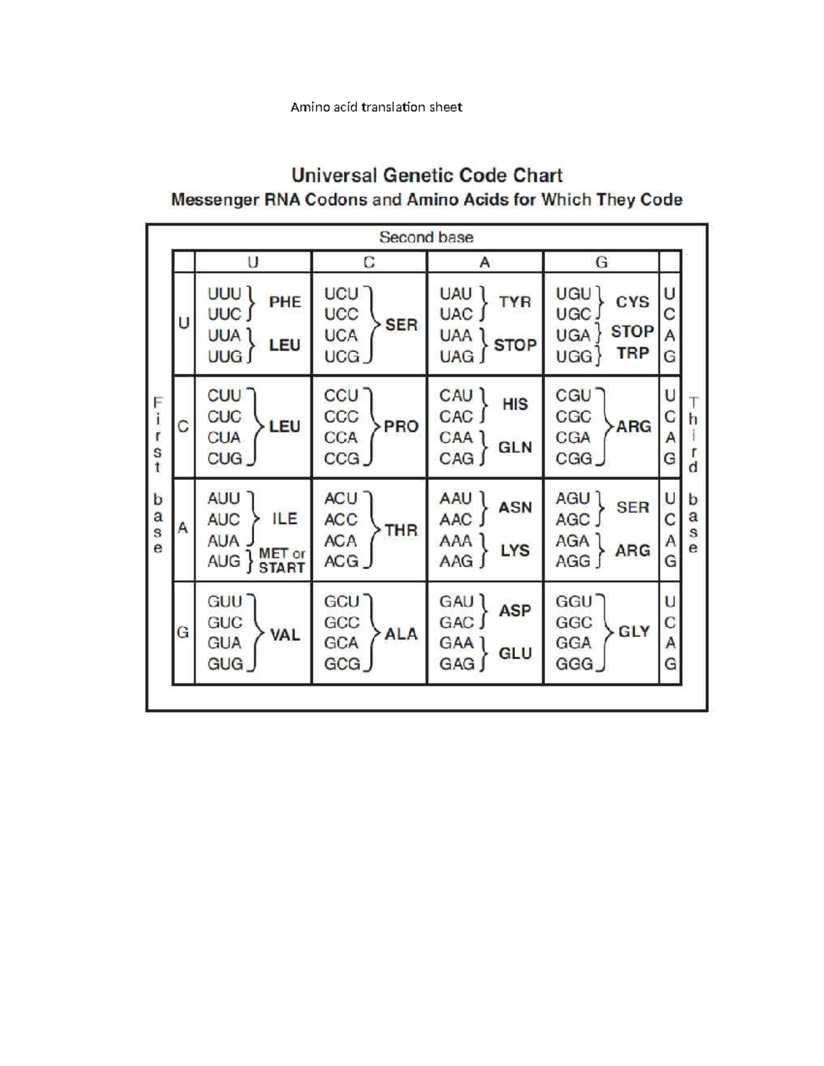 Amino Acid Translation: Universal Genetic Code Chart - Studocu