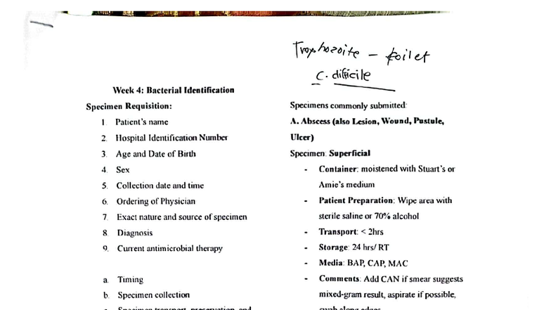 Bacterial Identification and Specimen Collection Guidelines (Week 4 ...