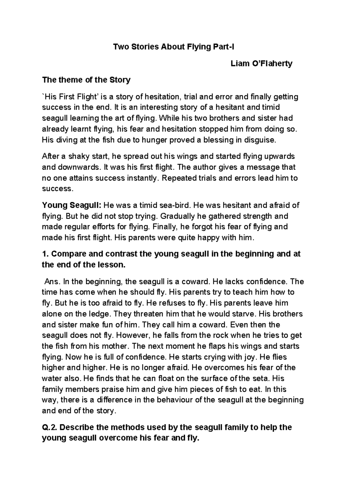 Two Stories About Flying: Lessons from a Young Seagull and a Mysterious ...