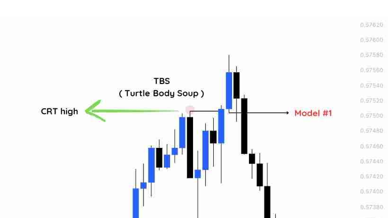 LTF - CRT Entry with Turtle Body Soup (TBS) Analysis - Studocu