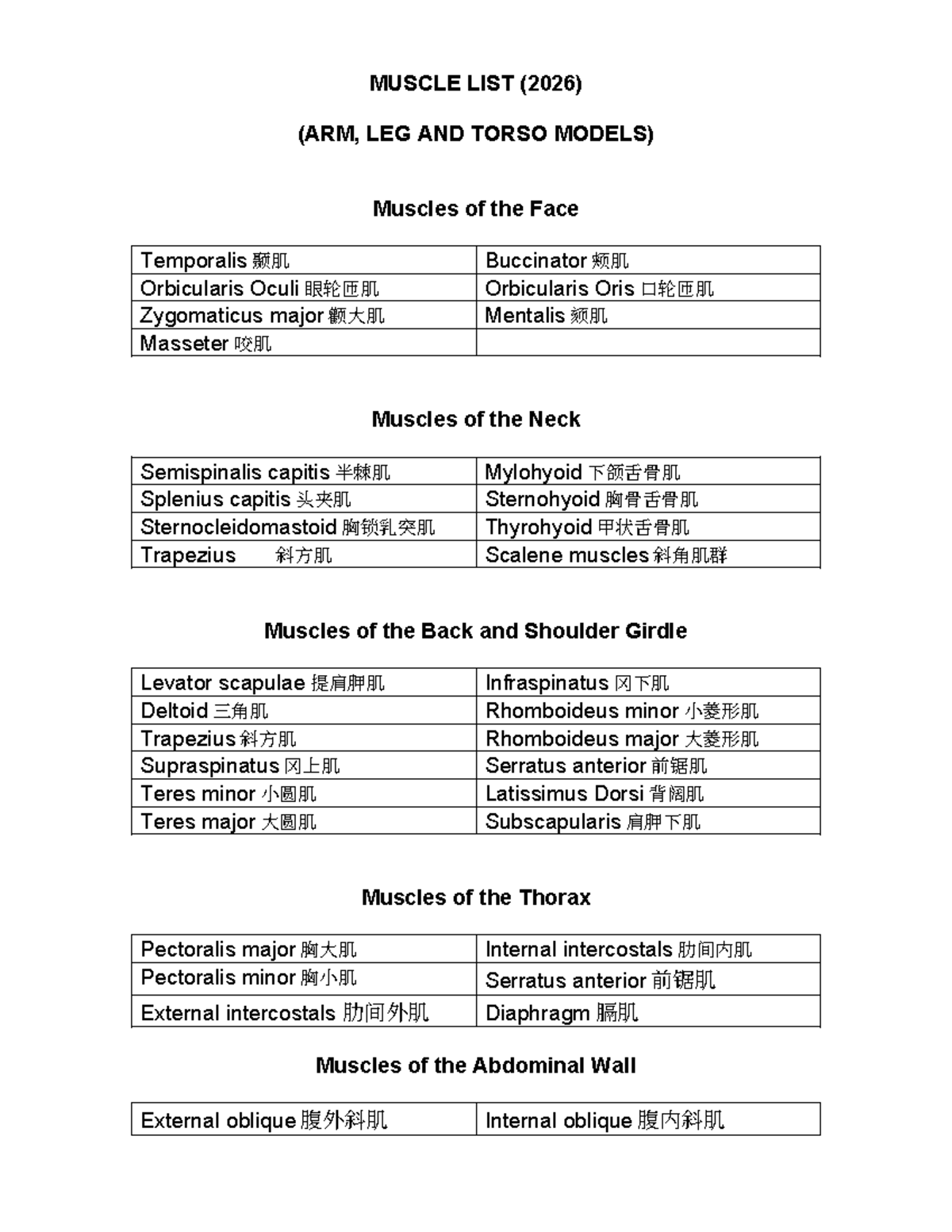 MUSCLE LIST 2026: ARM, LEG, AND TORSO MODELS - Studocu