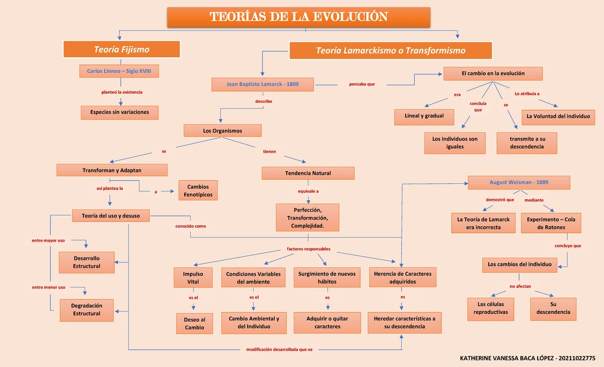 MAPA CONCEPTUAL: Teorías de la Evolución (U2T2) - Studocu