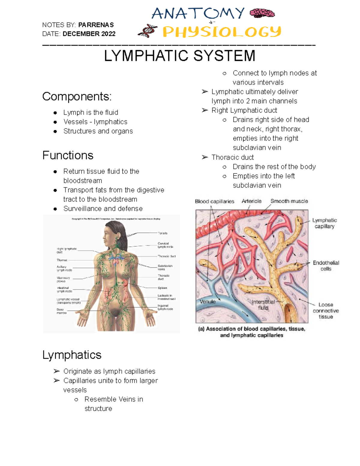 Anaphy Notes W11: Lymphatic System Overview & Immune Functions - Studocu
