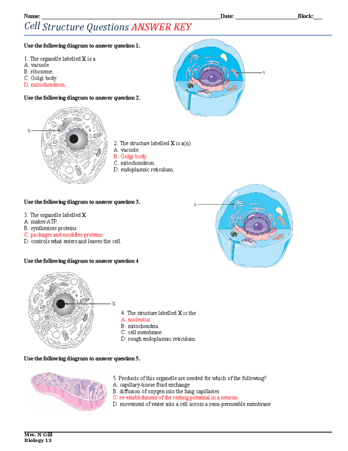 03 - Cell Structure Exam Questions Answer Key - Studocu