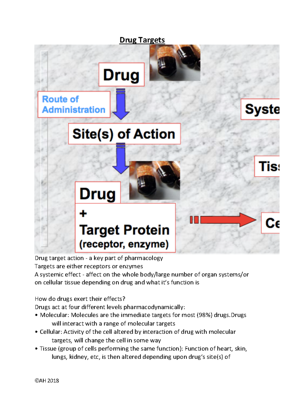 Drug Targets - Lecture notes 2 - Drug Targets Drug target action - a ...