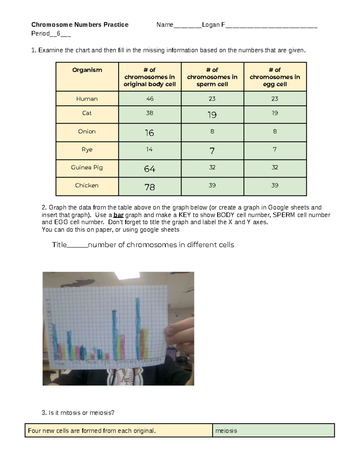 Copy of Gillett - Cell Division Card Sort - Google Docs - Name Period ...