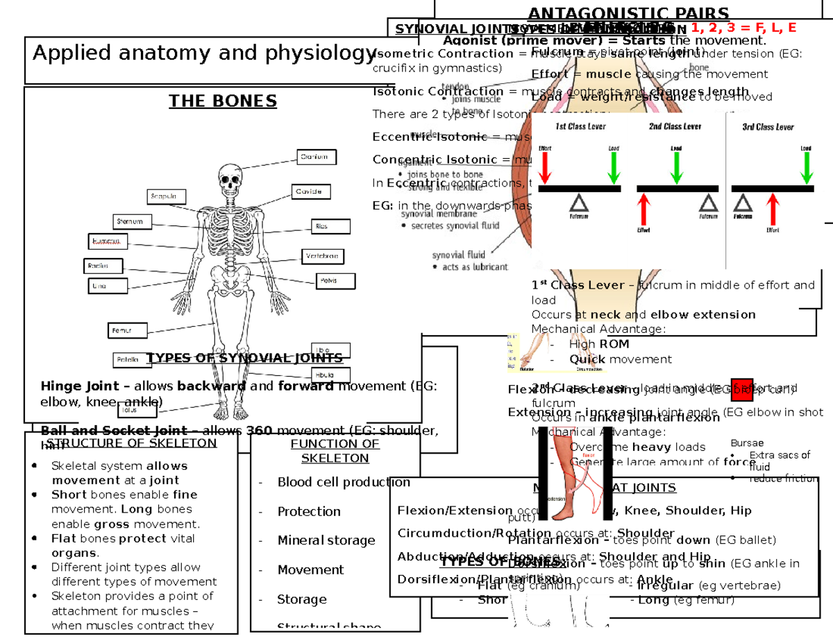 Applied Anatomy and Physiology: Types of Bones and Joint Movements ...