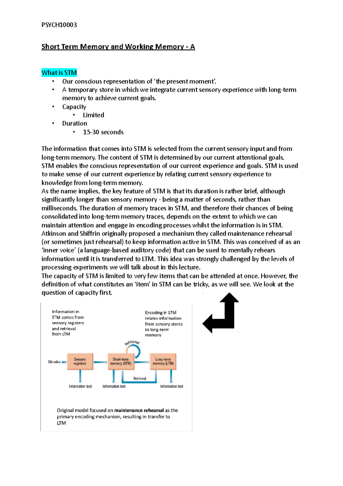 Summary - Week 4 - Short Term Memory and Working Memory - A What is STM ...
