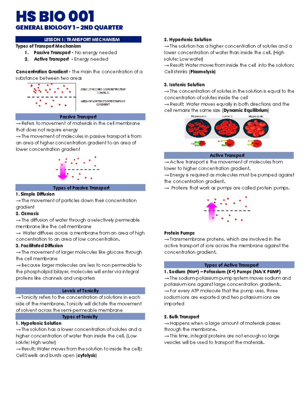 HS BIO 001 GENERAL BIOLOGY 1 2ND QUARTER LESSON NOTES ON TRANSPORT ...
