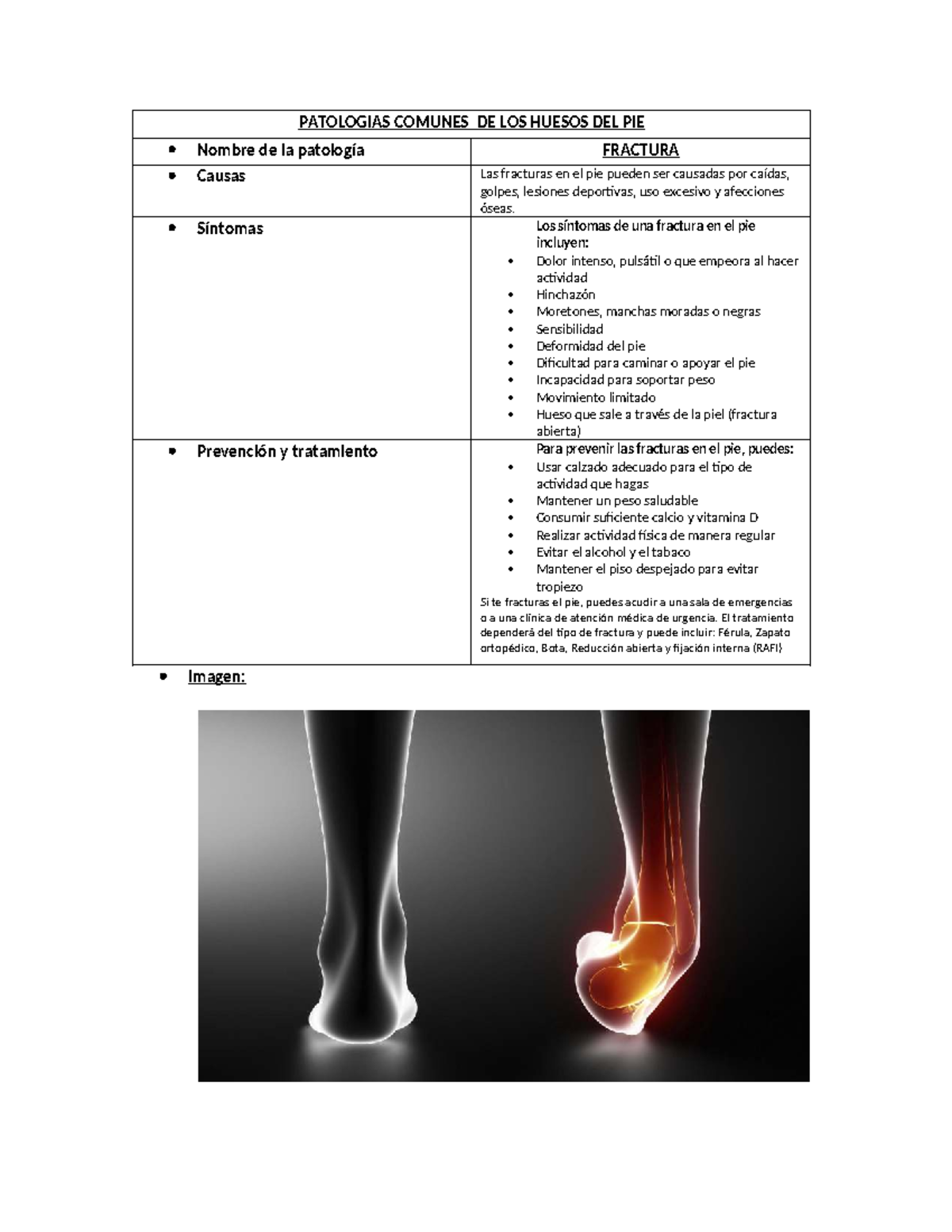 Patologías Comunes de los Huesos del Pie: Fracturas, Esguince y Más ...
