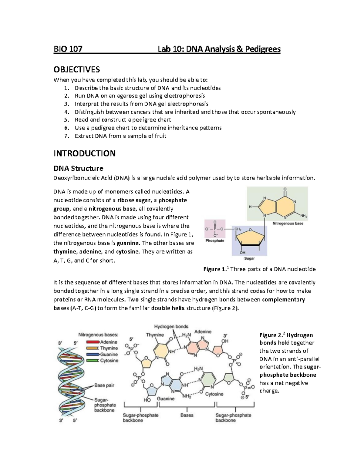 BIO 107 Lab 10: DNA Analysis and Pedigree Construction - Studocu