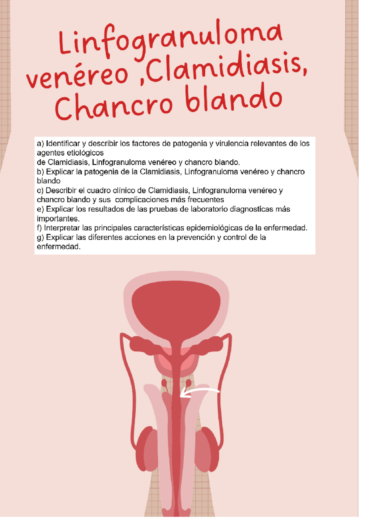 T-31 Linfogranuloma venéreo, Clamidiasis - Según el sitio anatómico ...