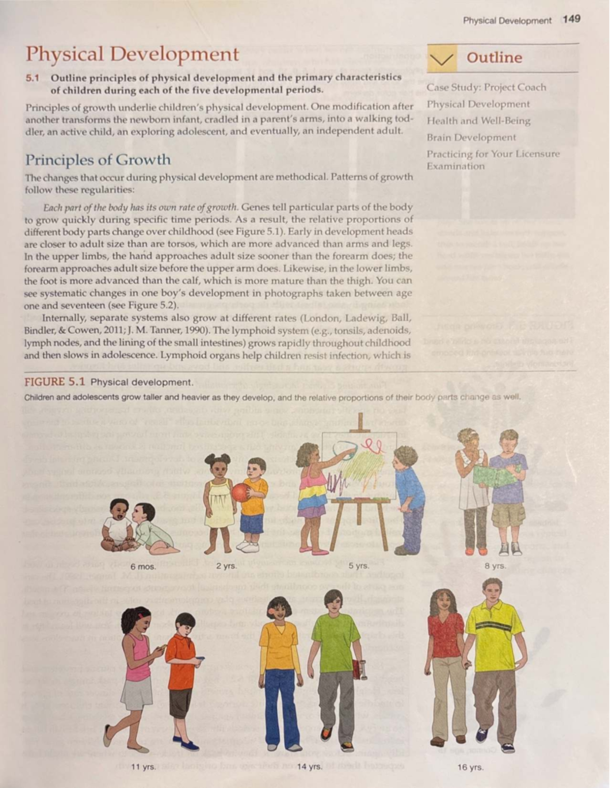 Final Exam Study Guide for Course CODE 149: Physical Development ...