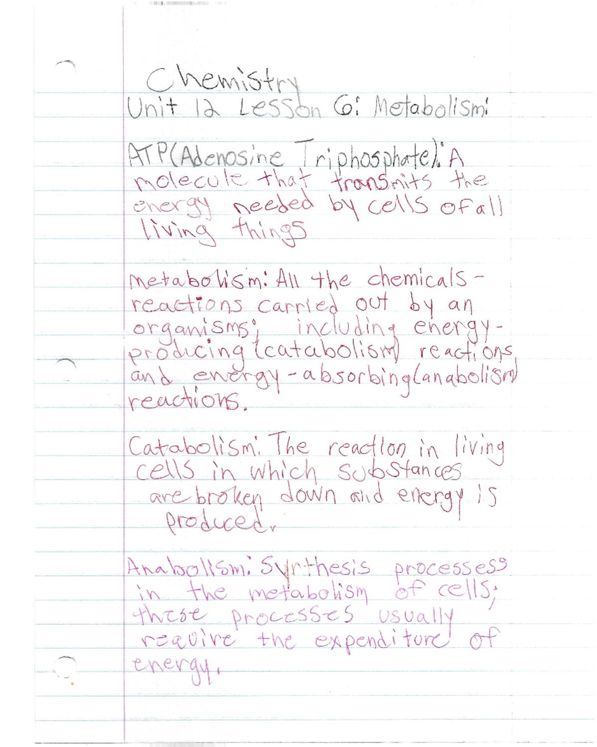 PS101 Chemistry Unit 12: Metabolism, ATP & Nuclear Transformations ...