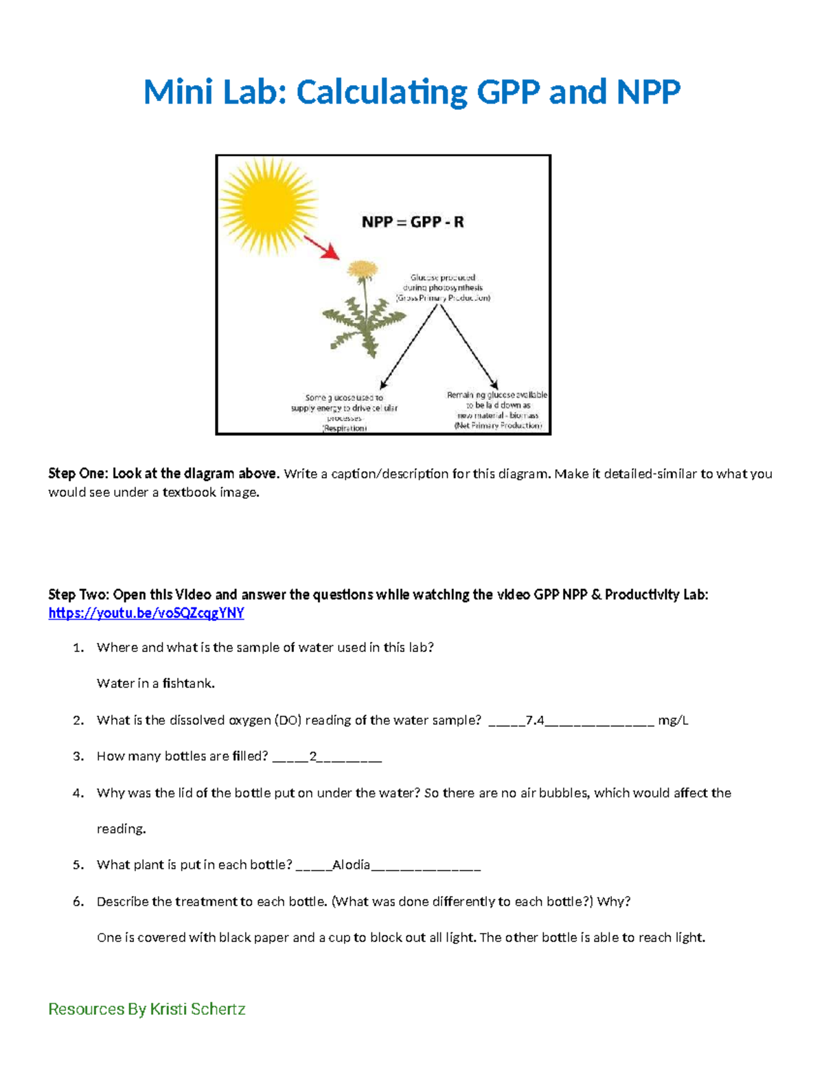 Mini Lab: GPP and NPP Calculations for Water Samples - Studocu